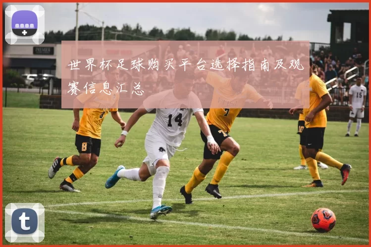世界杯足球购买平台选择指南及观赛信息汇总
