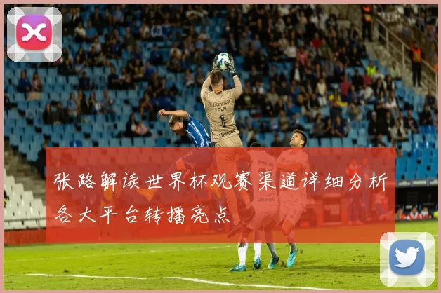 张路解读世界杯观赛渠道详细分析各大平台转播亮点
